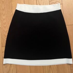Aritzia Babaton Skirt